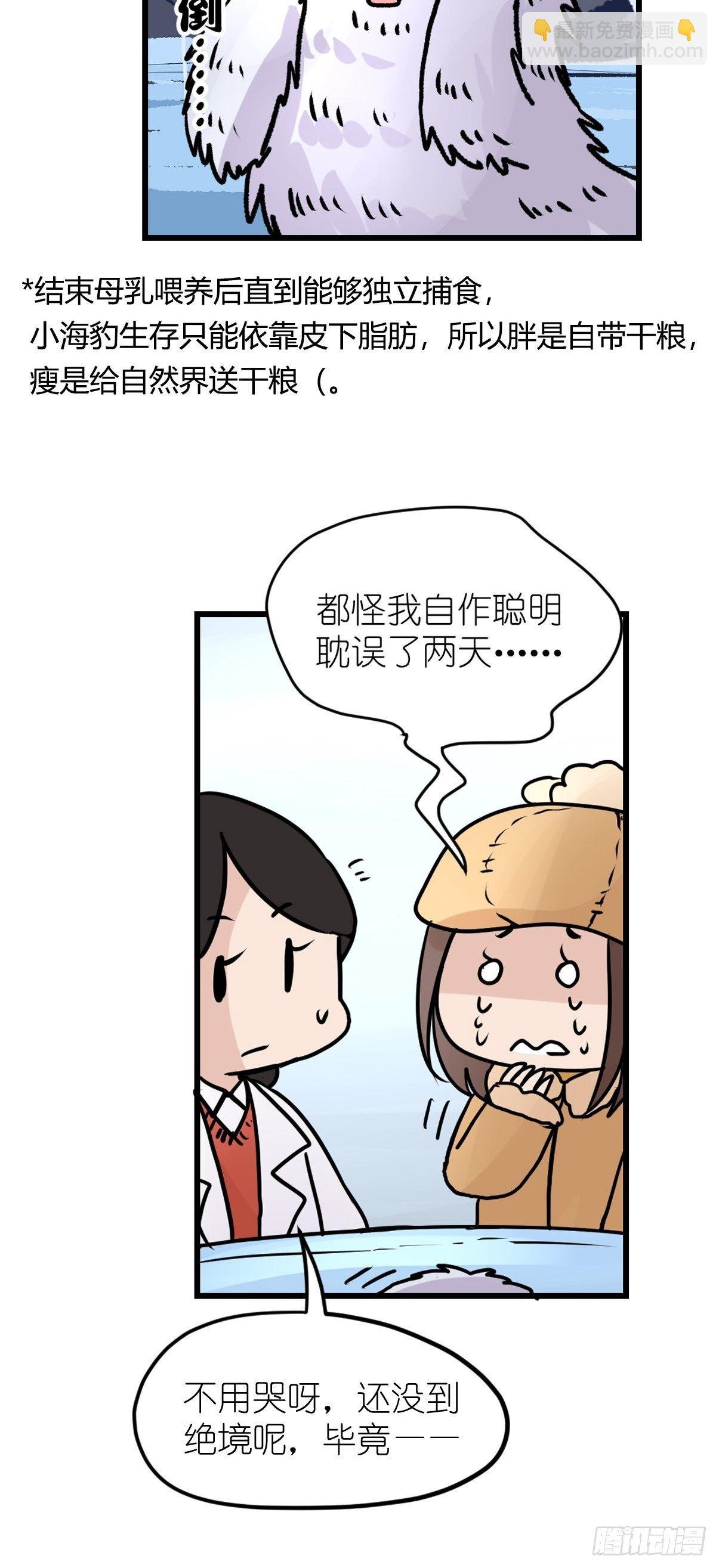 四海篇09：海豹豹的奇幻漂流2