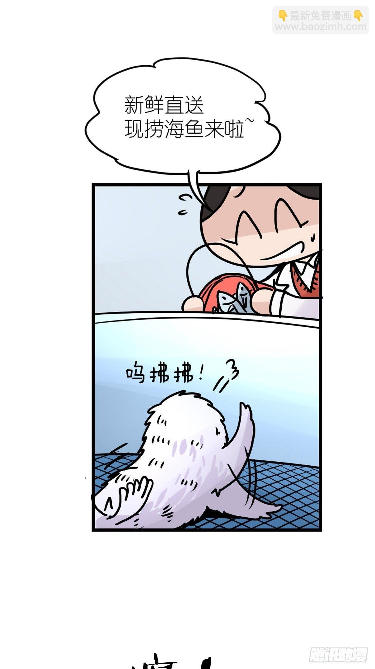 四海篇09：海豹豹的奇幻漂流2