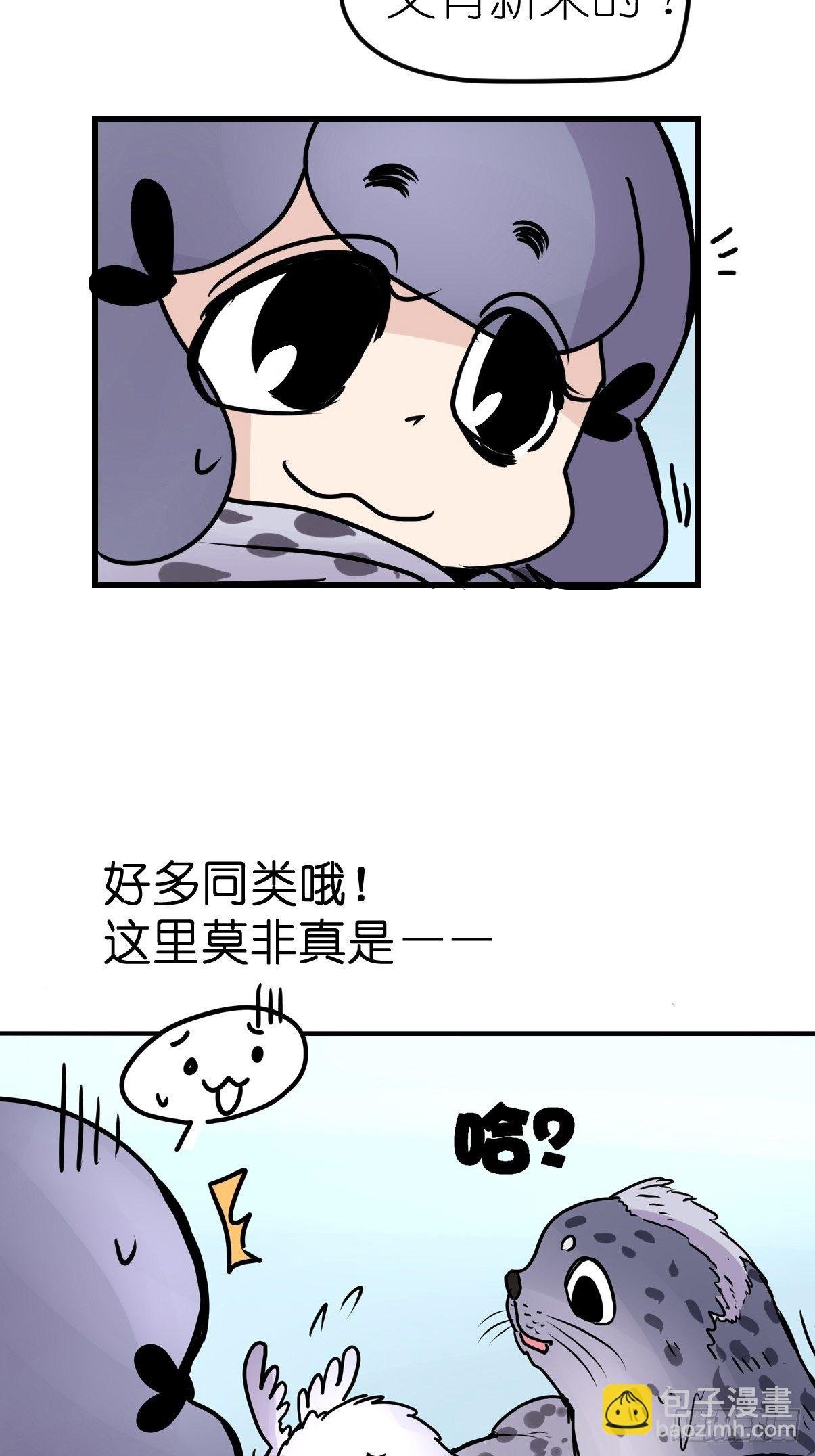 四海篇09：海豹豹的奇幻漂流2