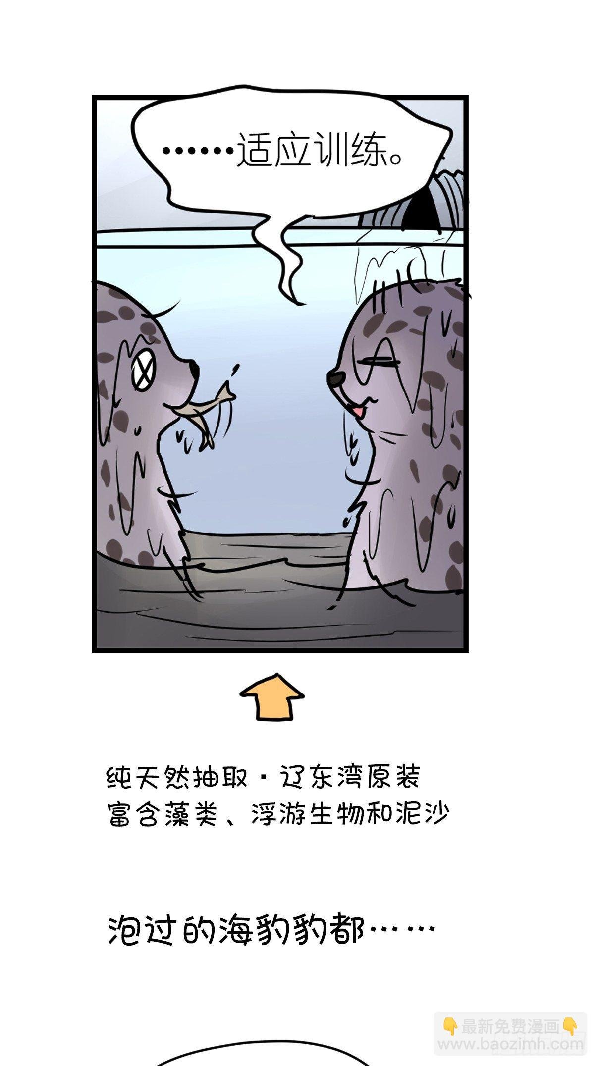 四海篇10：海豹豹的奇幻漂流3