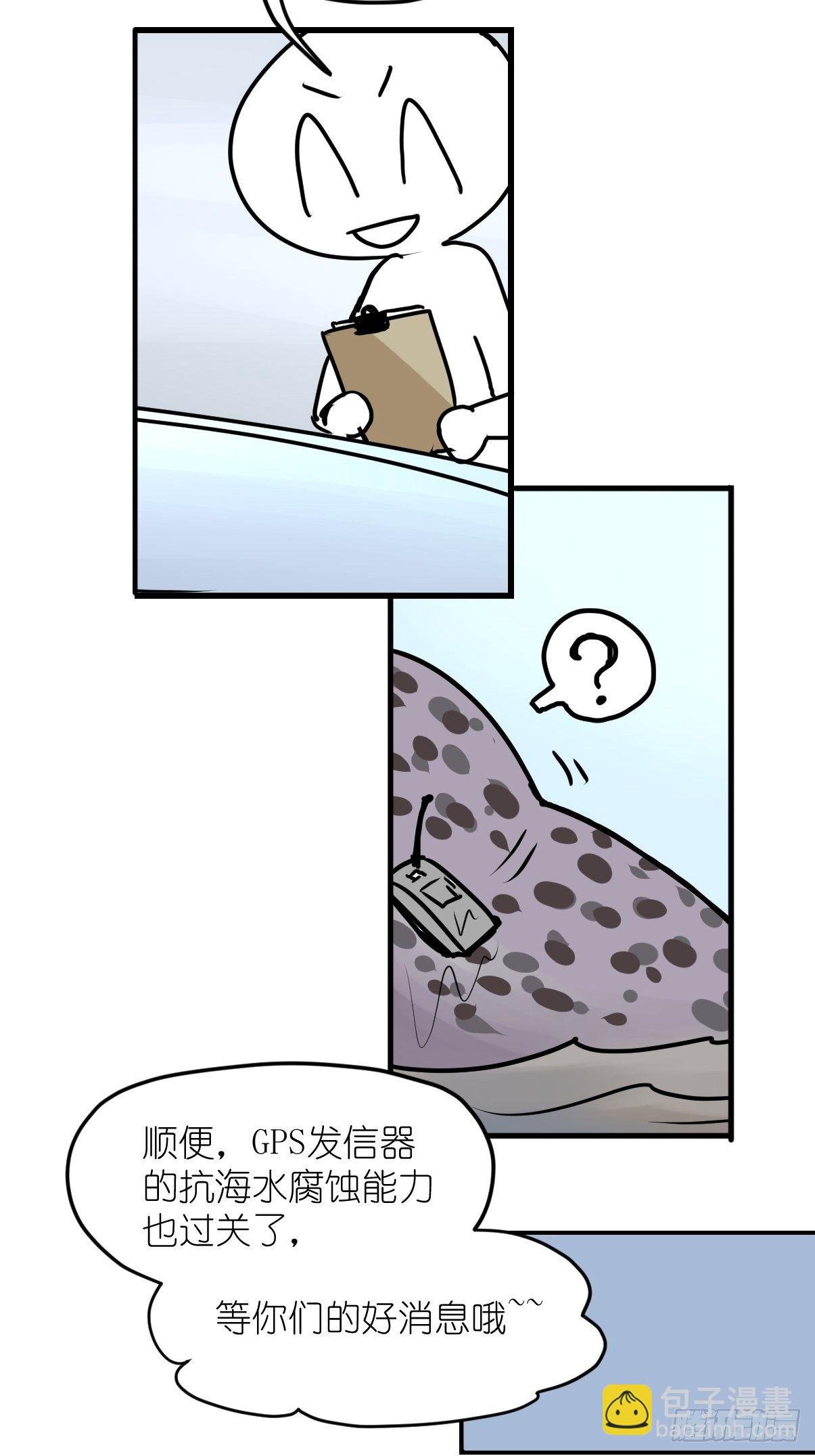 四海篇10：海豹豹的奇幻漂流3