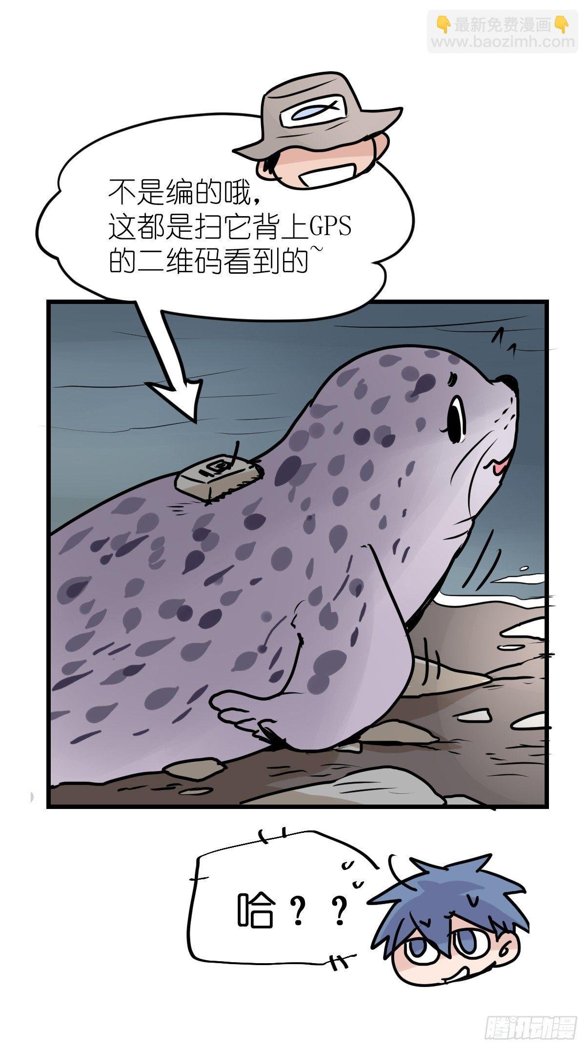 四海篇10：海豹豹的奇幻漂流3