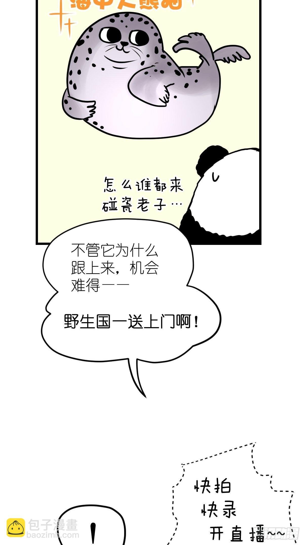 四海篇10：海豹豹的奇幻漂流3