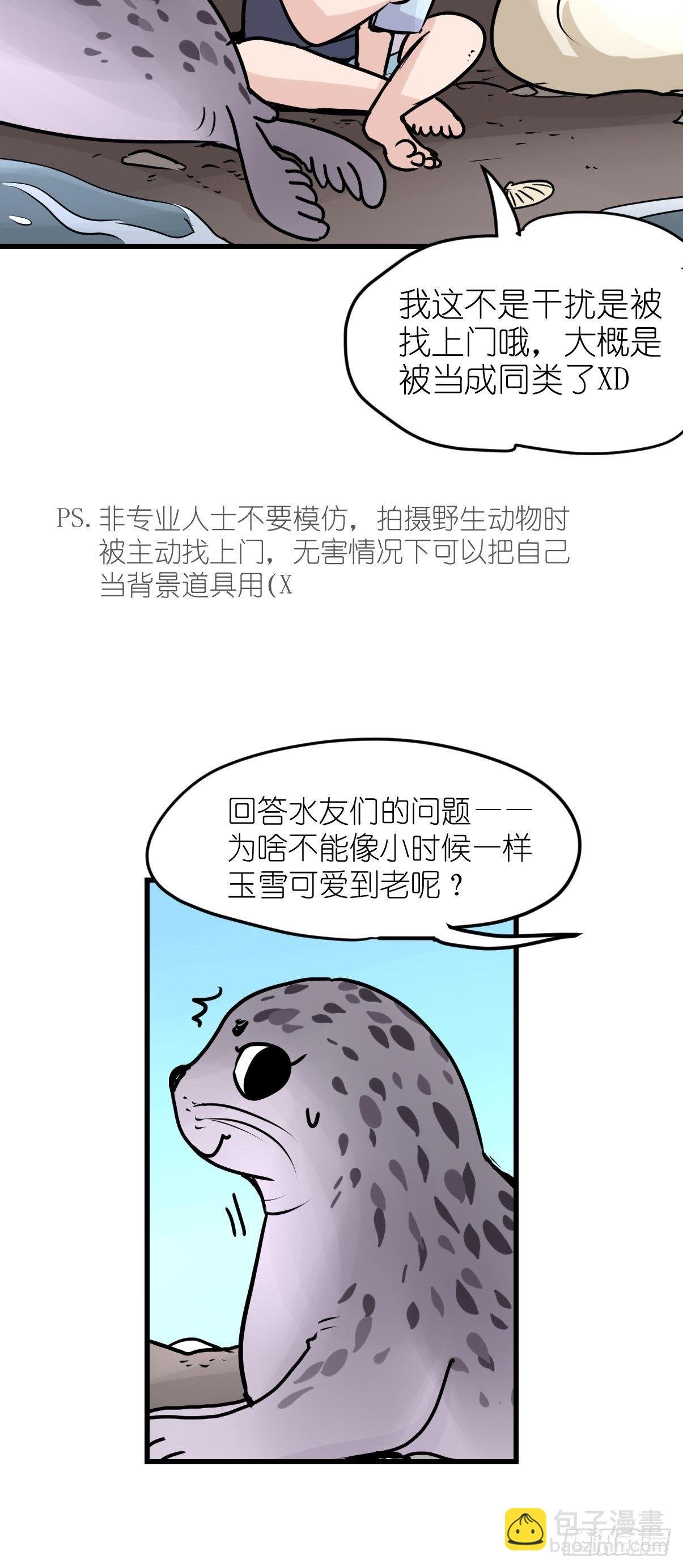 四海篇10：海豹豹的奇幻漂流3