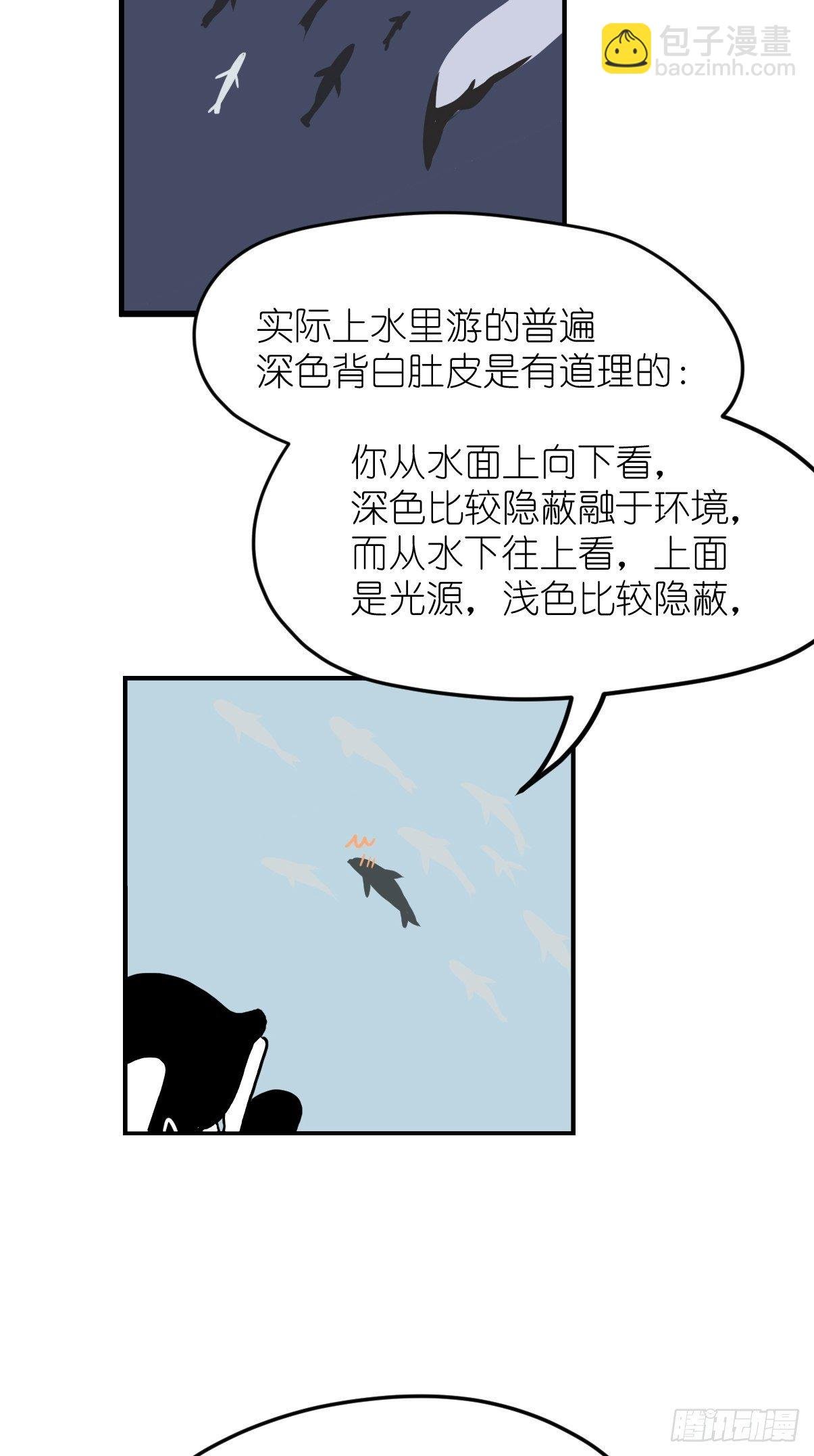 四海篇10：海豹豹的奇幻漂流3