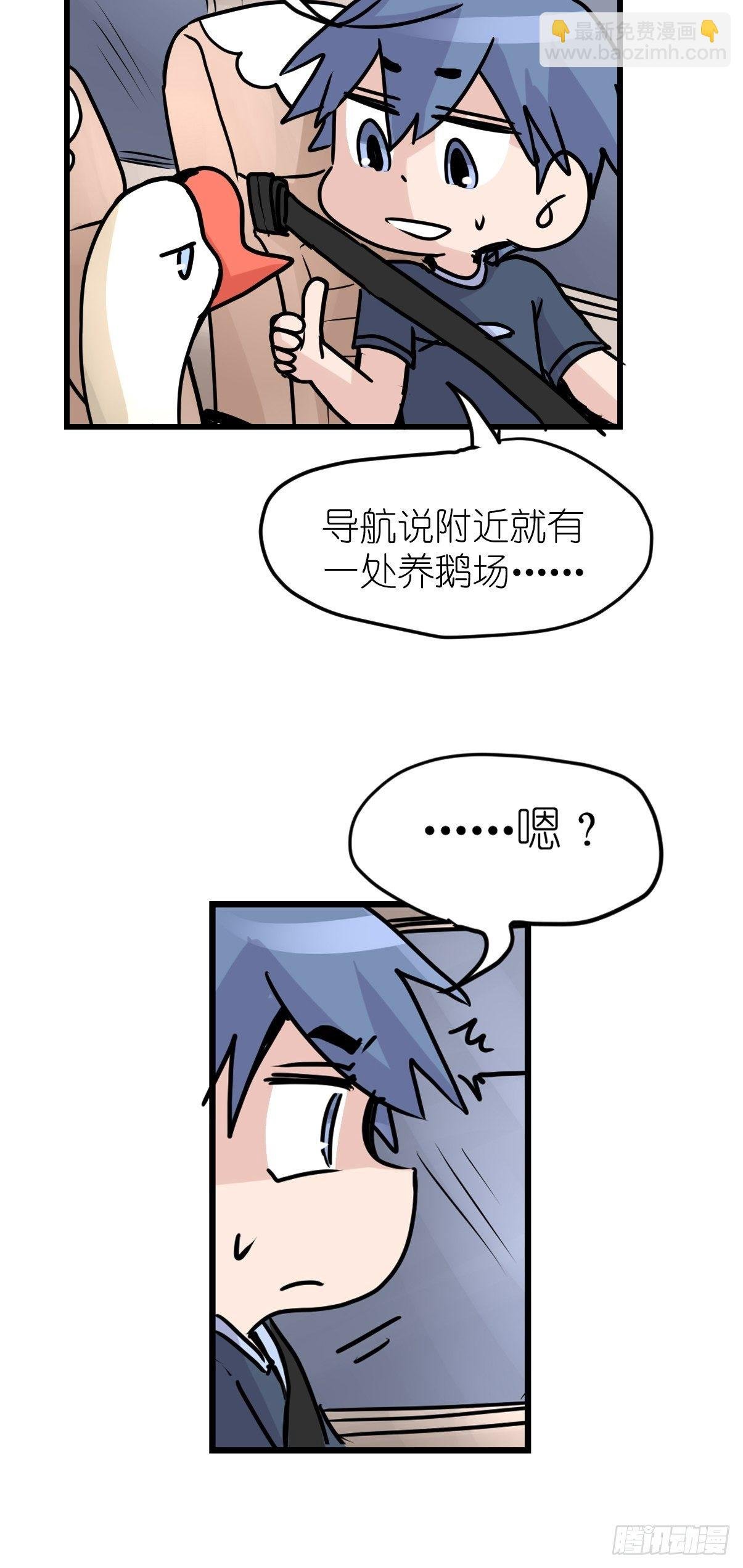 四海篇10：海豹豹的奇幻漂流3
