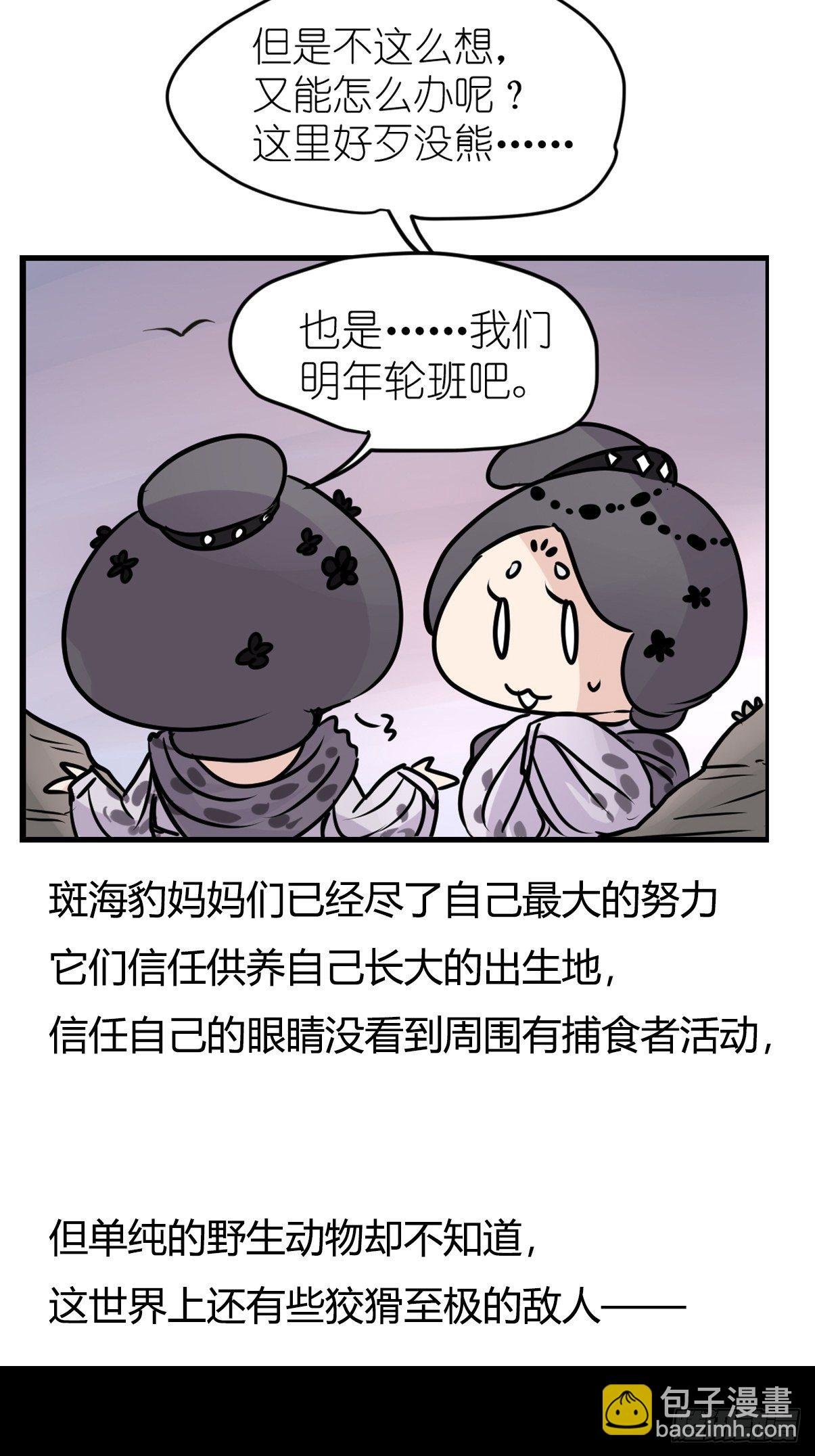 四海篇10：海豹豹的奇幻漂流3