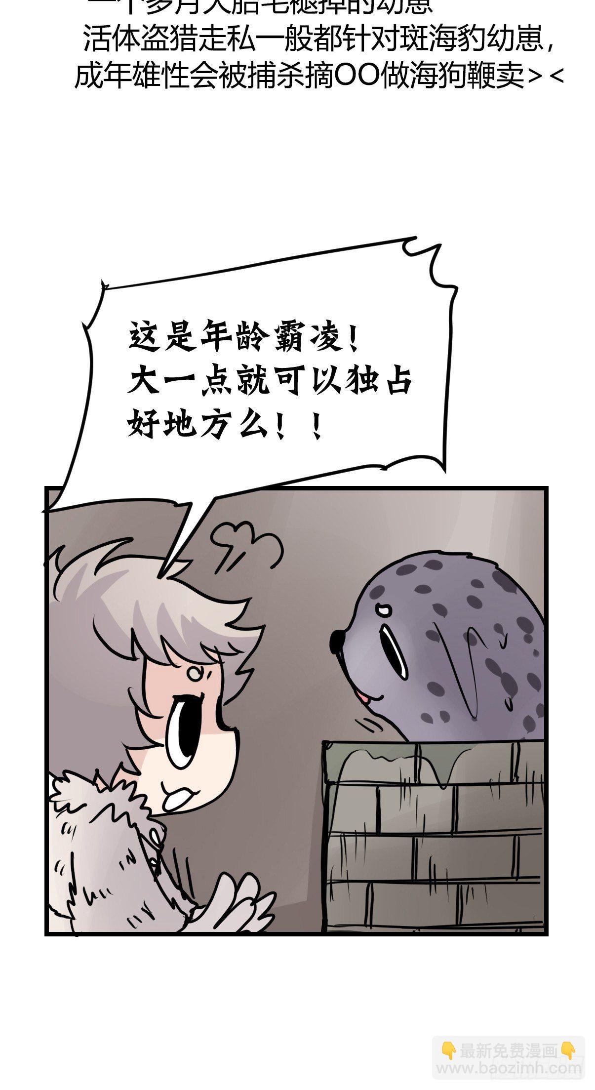 四海篇12：海豹豹的奇幻漂流5