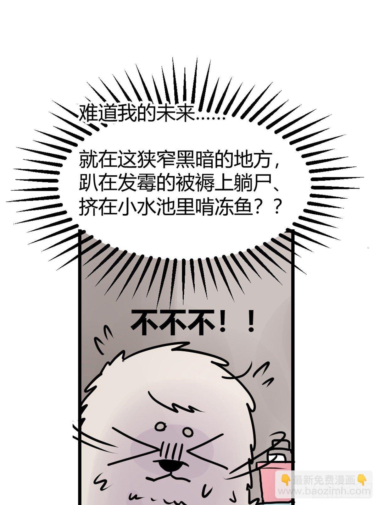 四海篇12：海豹豹的奇幻漂流5