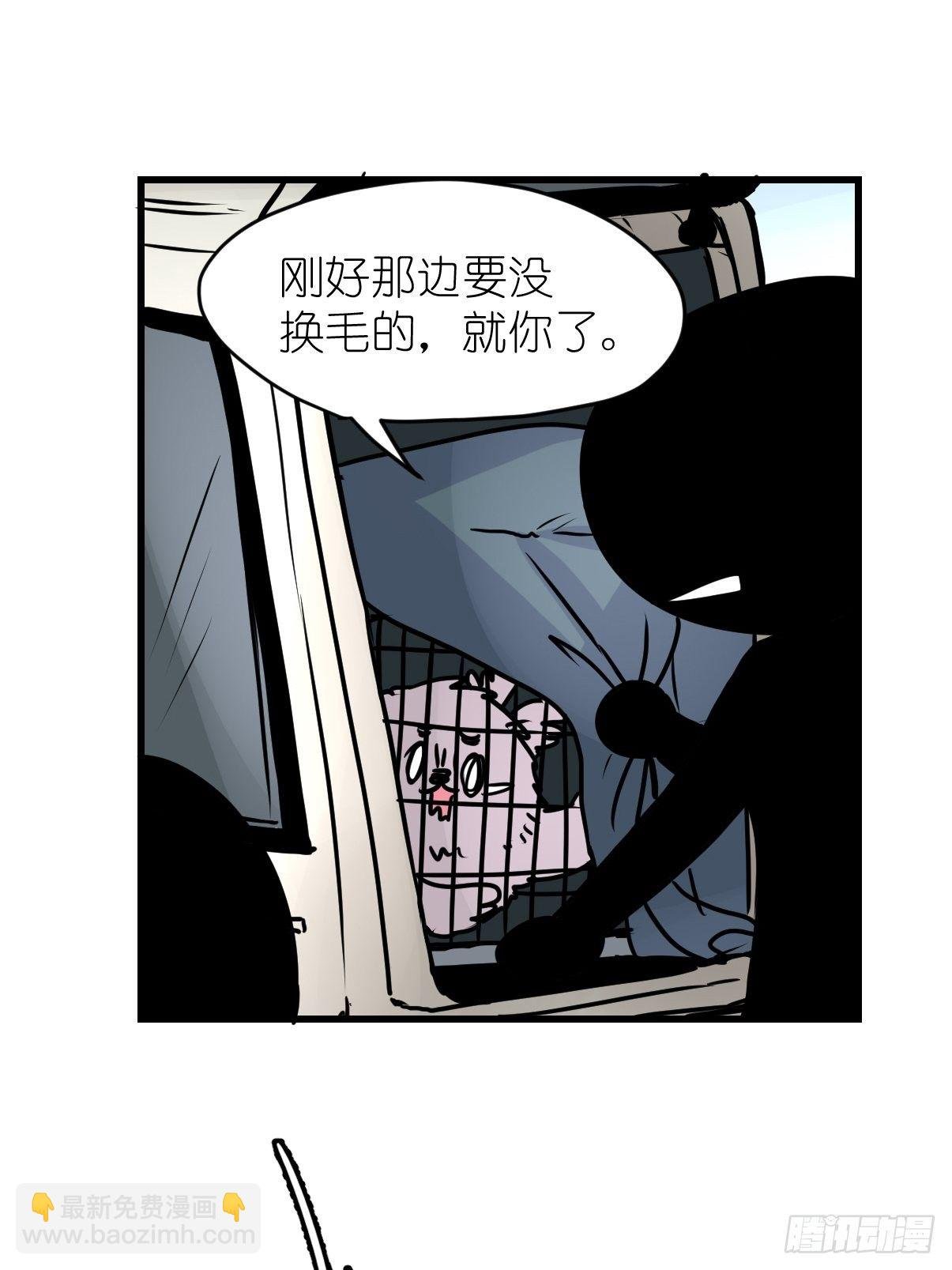 四海篇12：海豹豹的奇幻漂流5