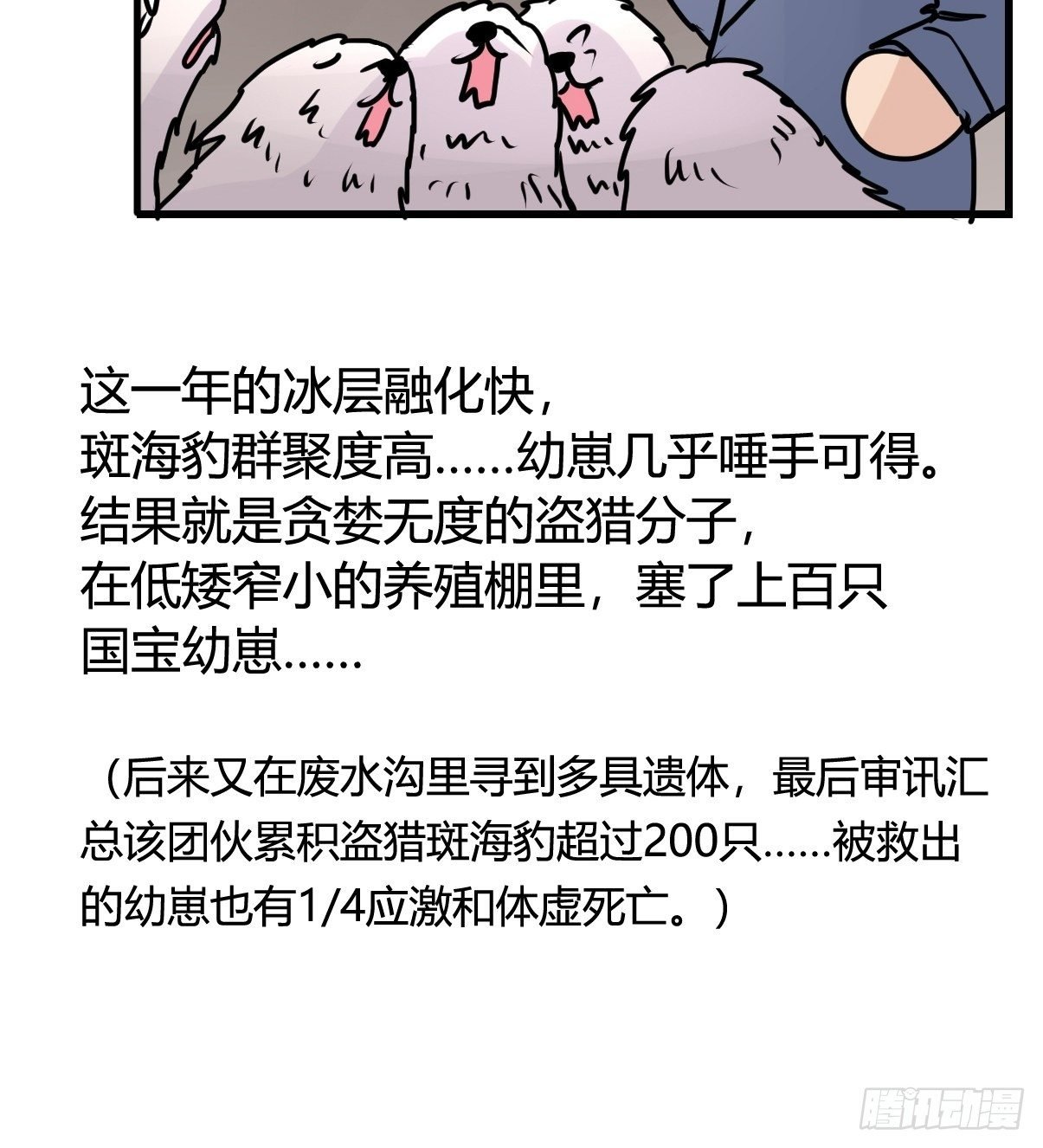 四海篇12：海豹豹的奇幻漂流5