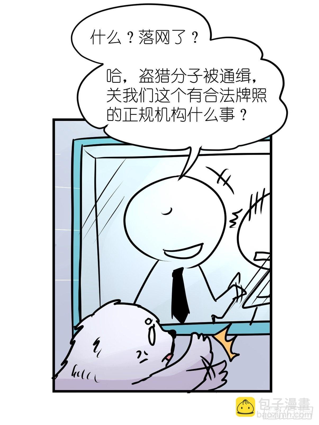 四海篇12：海豹豹的奇幻漂流5
