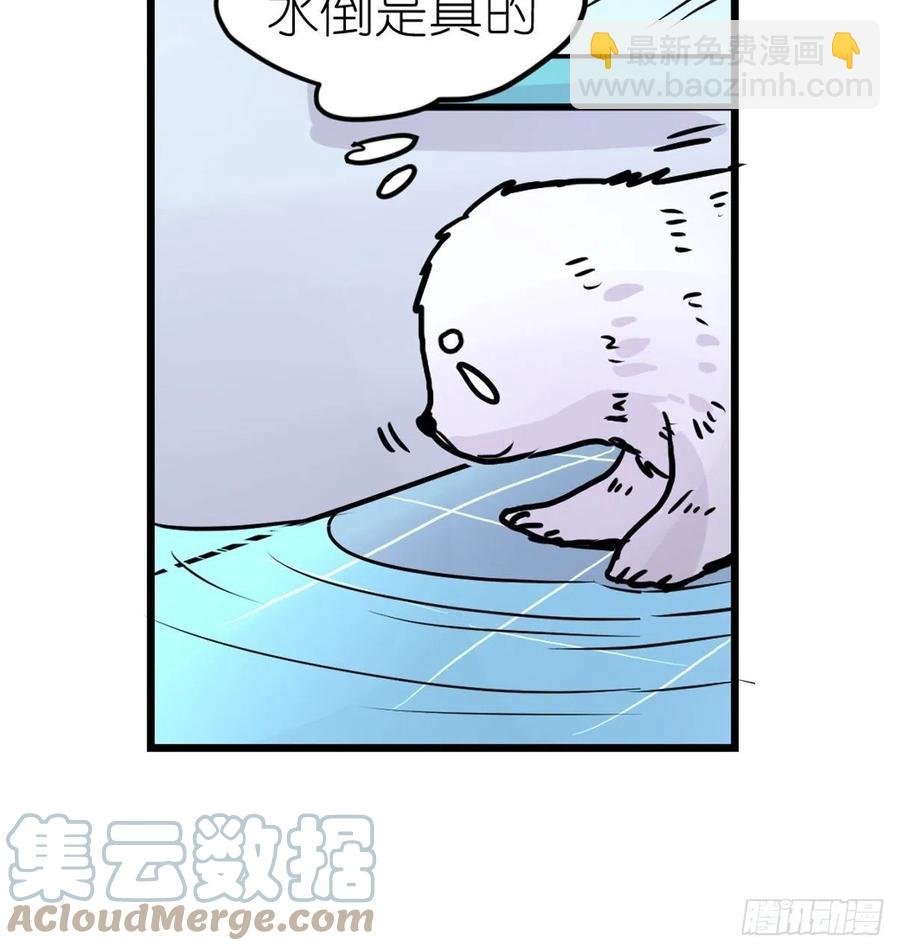 四海篇13：海豹豹的奇幻漂流6