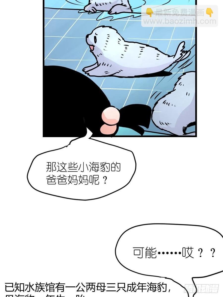 四海篇13：海豹豹的奇幻漂流6