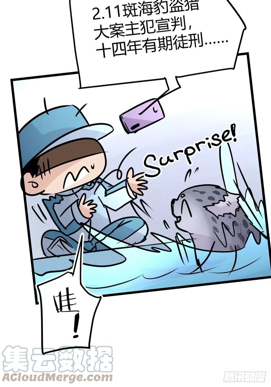 四海篇13：海豹豹的奇幻漂流6