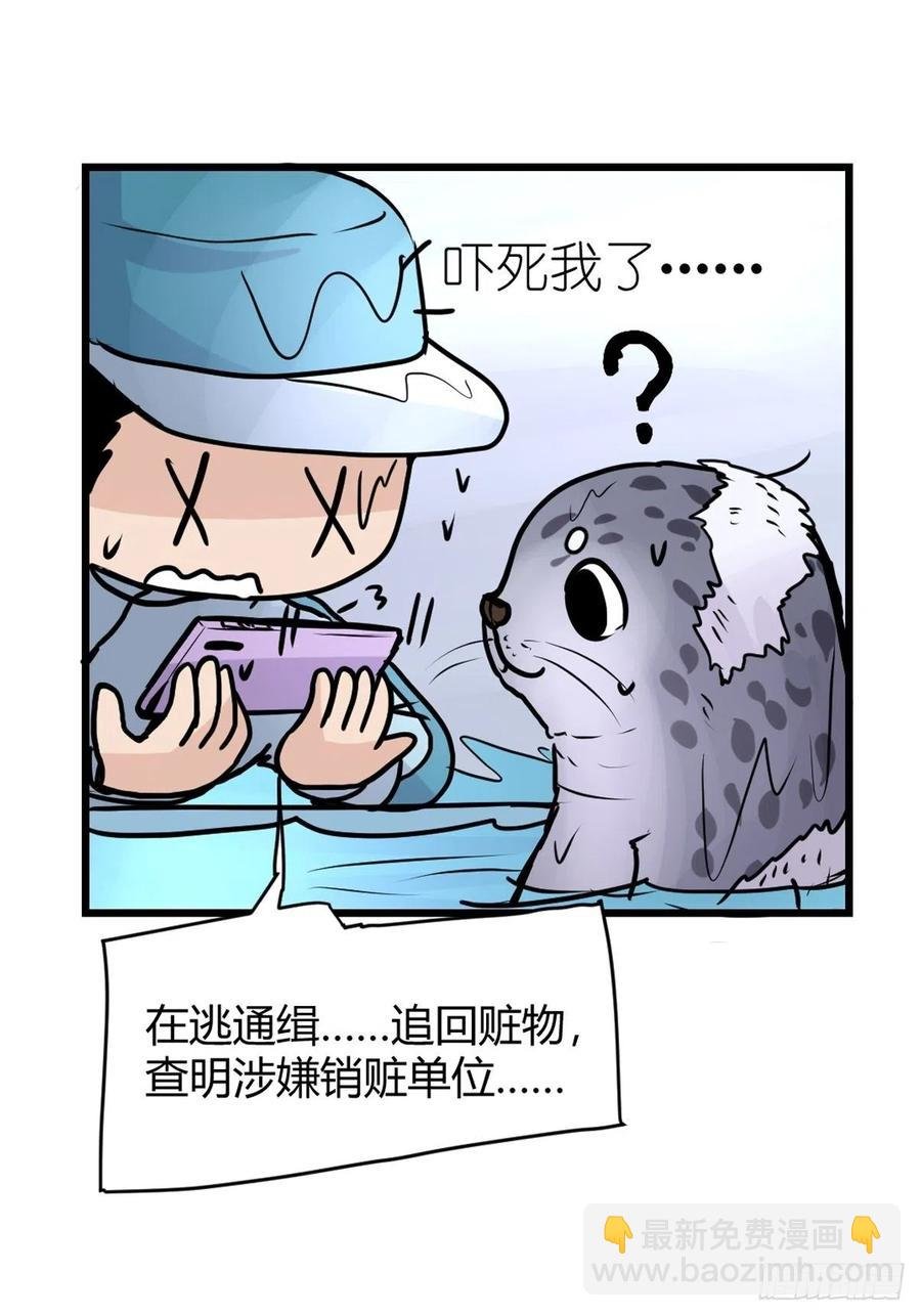 四海篇13：海豹豹的奇幻漂流6