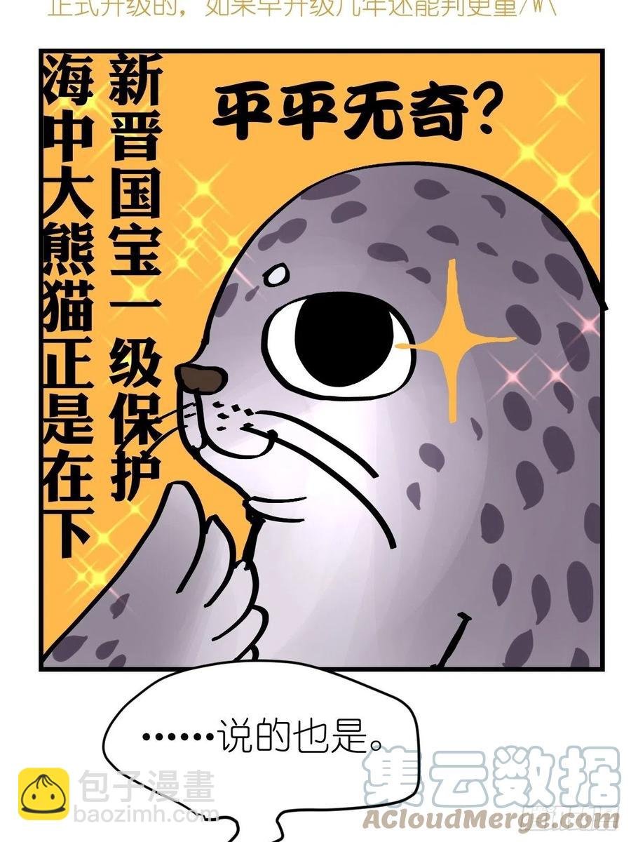 四海篇13：海豹豹的奇幻漂流6