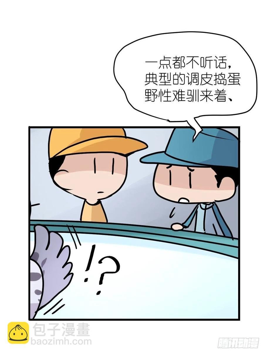 四海篇14：海豹豹奇幻漂流7