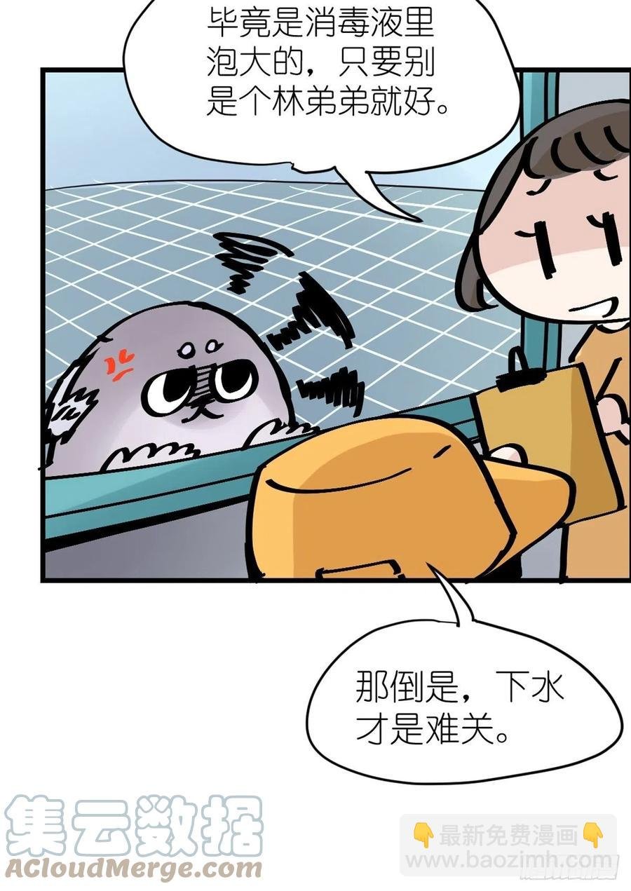 四海篇14：海豹豹奇幻漂流7