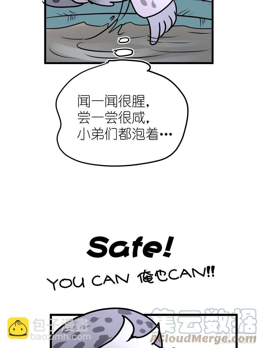 四海篇14：海豹豹奇幻漂流7