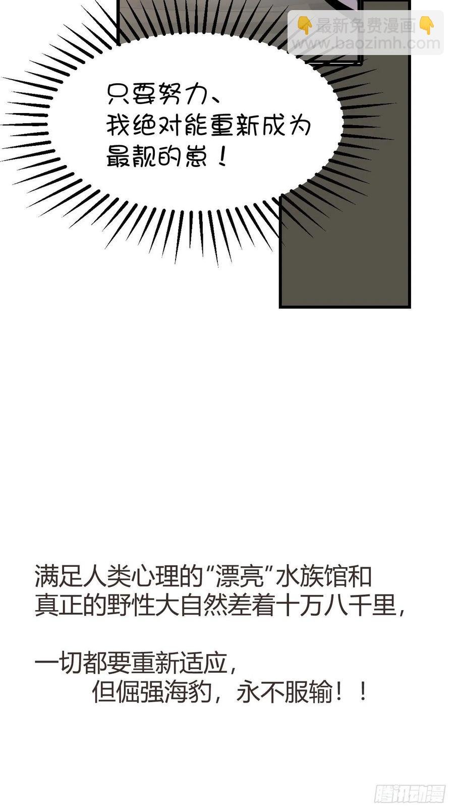 四海篇14：海豹豹奇幻漂流7