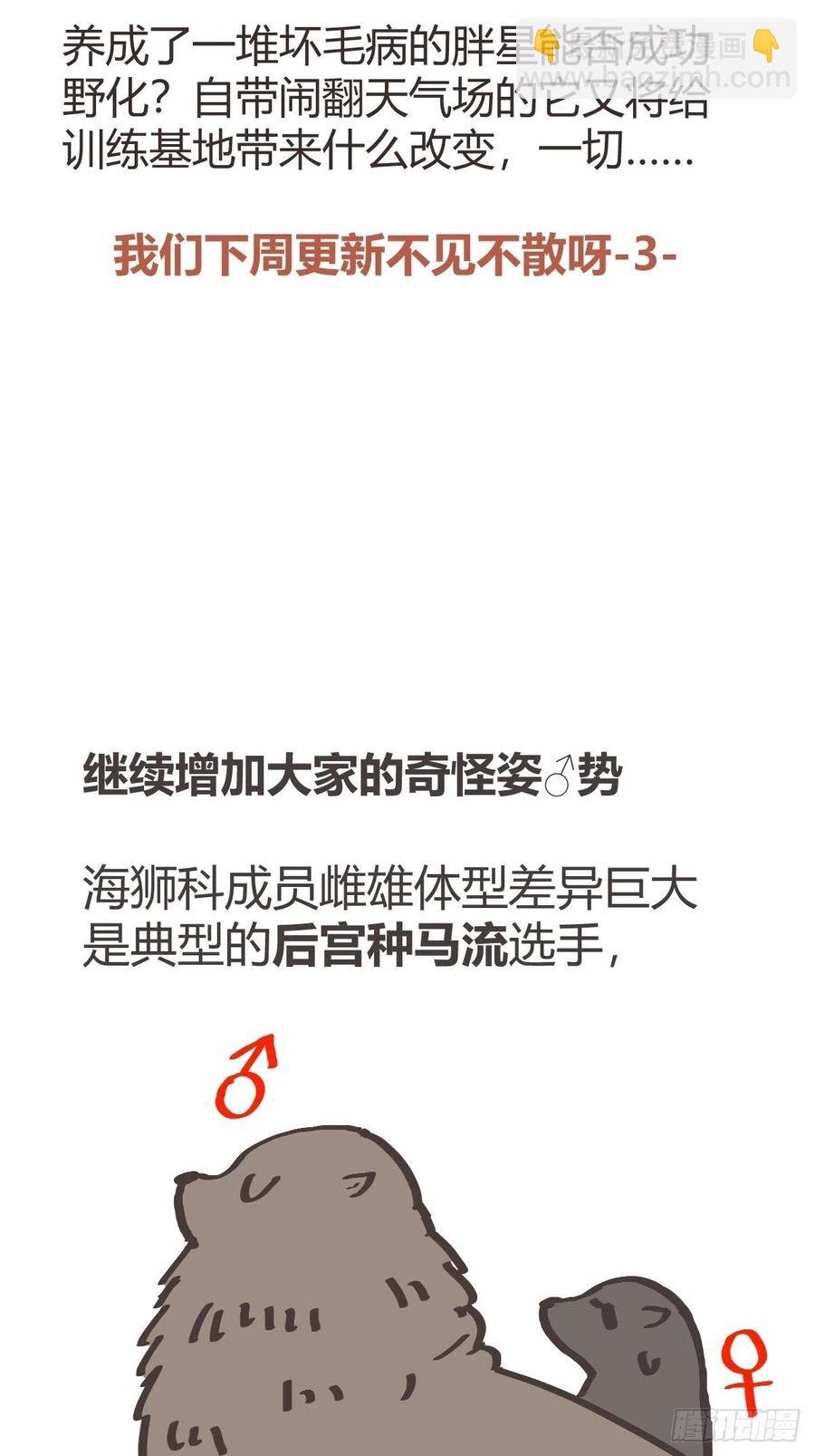 四海篇14：海豹豹奇幻漂流7