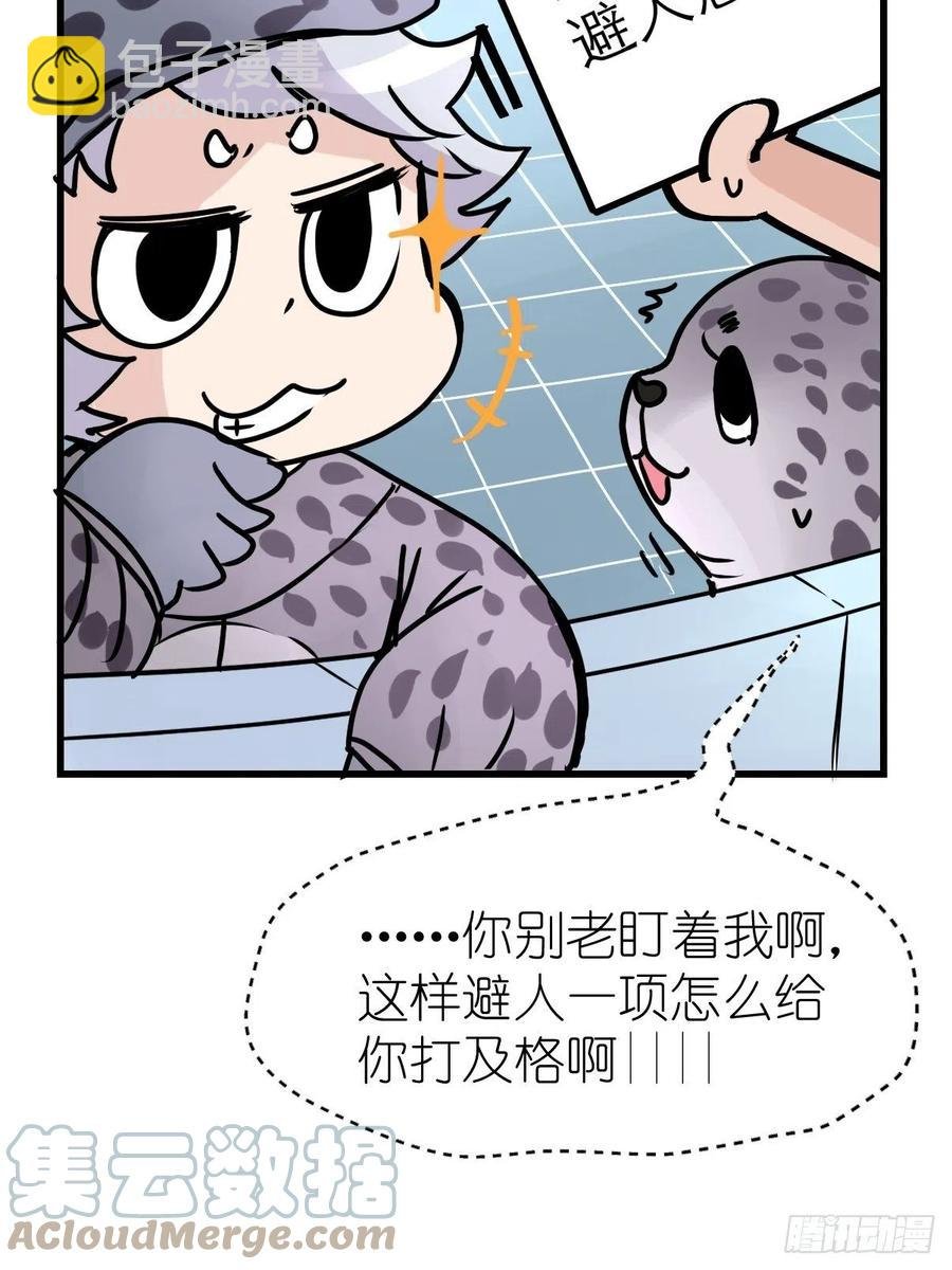 四海篇16：海豹豹奇幻漂流9