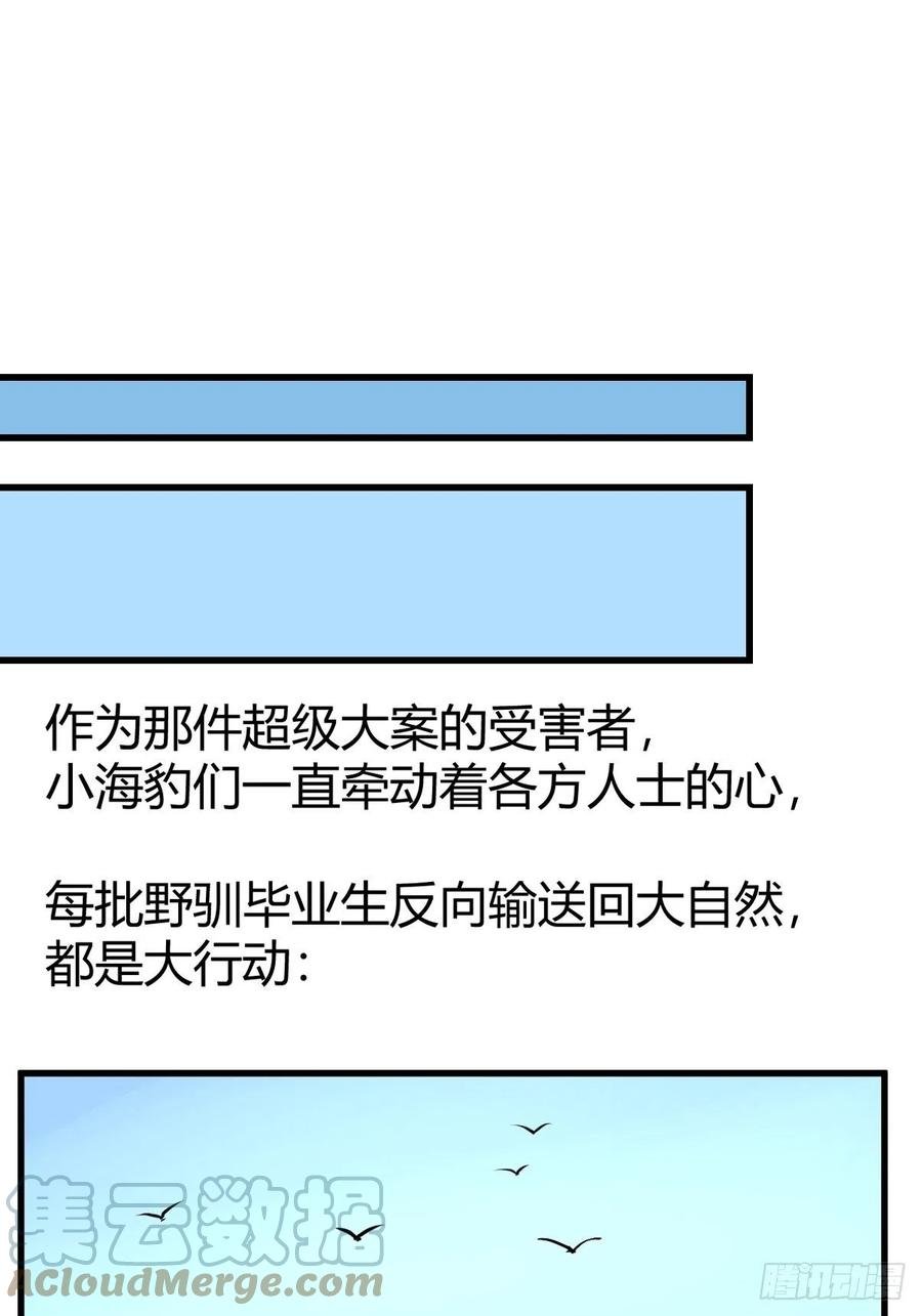 四海篇16：海豹豹奇幻漂流9