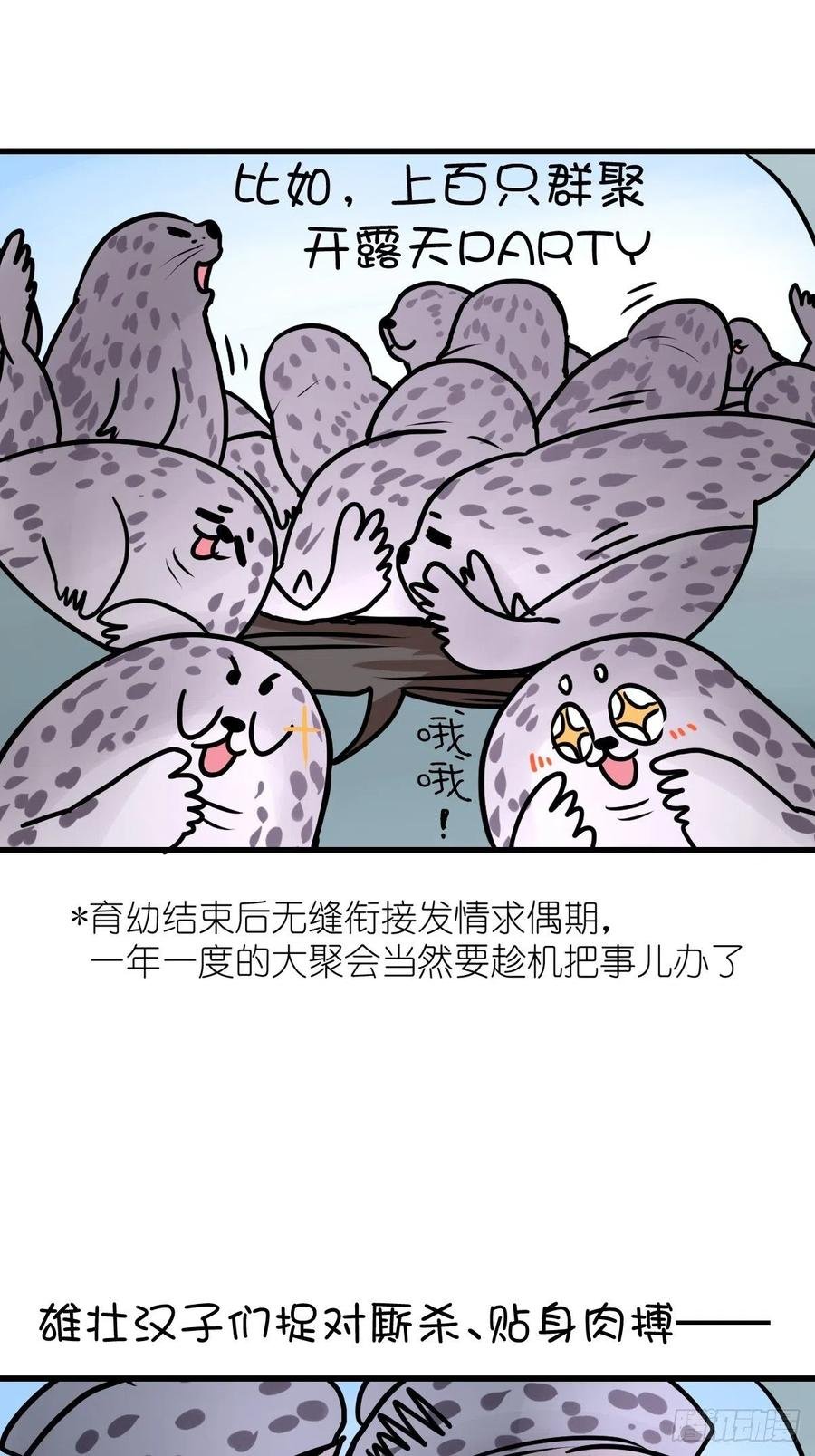四海篇17：海豹豹奇幻漂流10