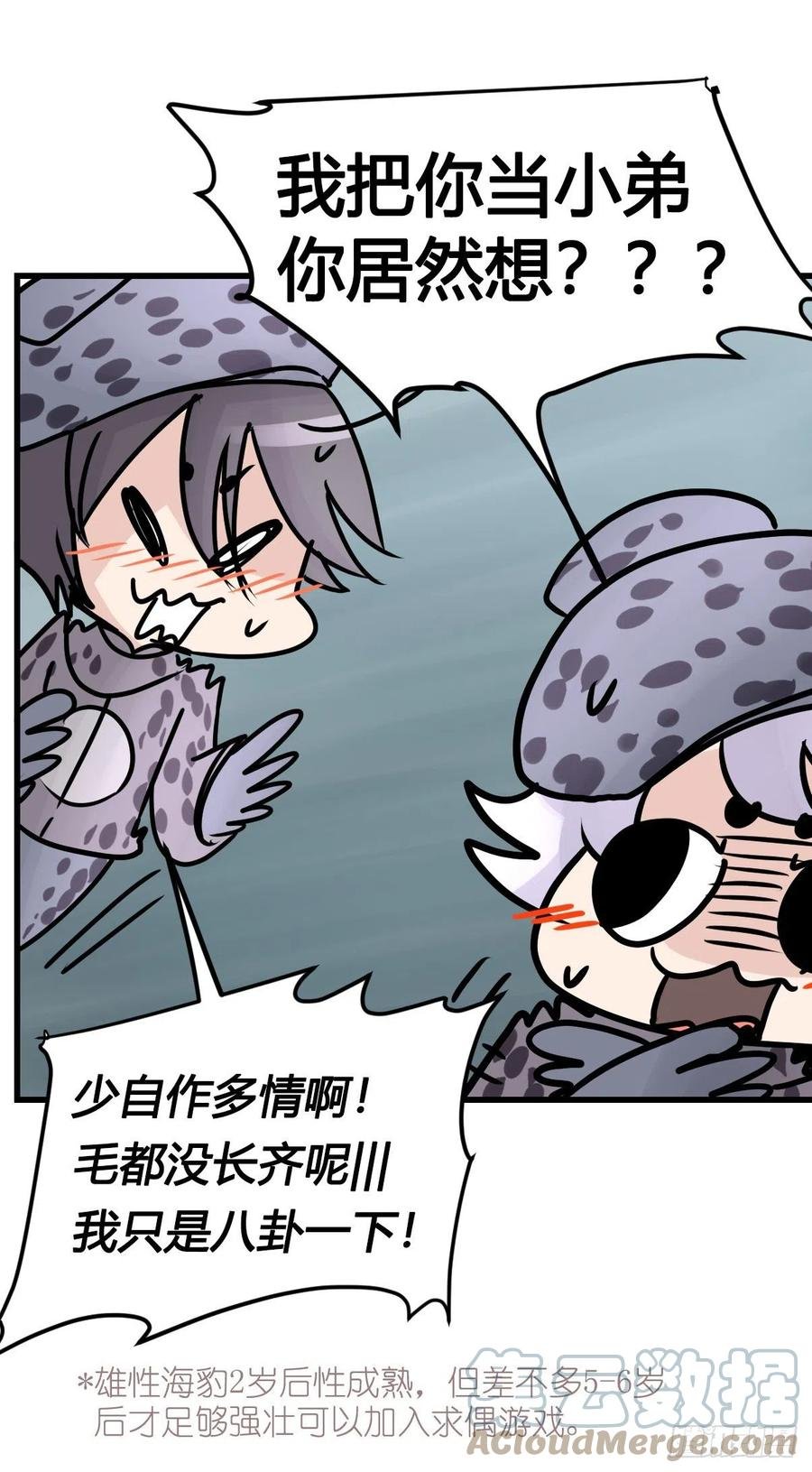 四海篇17：海豹豹奇幻漂流10