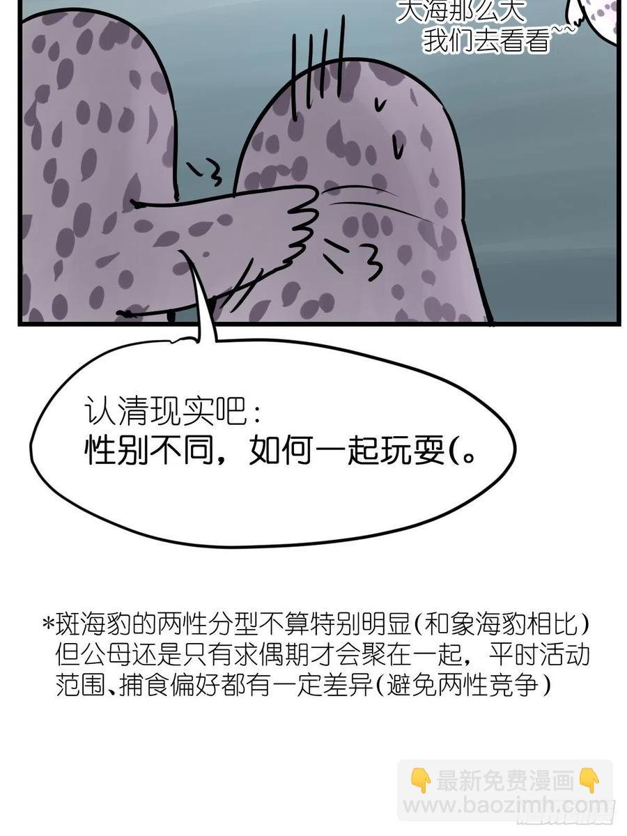 四海篇17：海豹豹奇幻漂流10