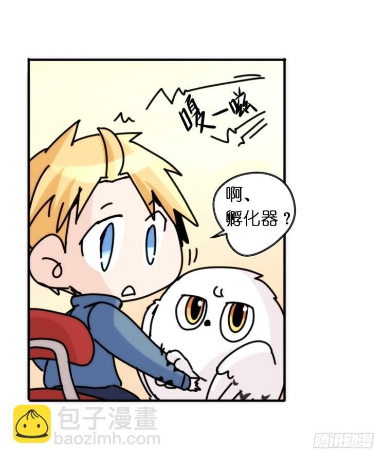 飞吧小少爷：生生不息