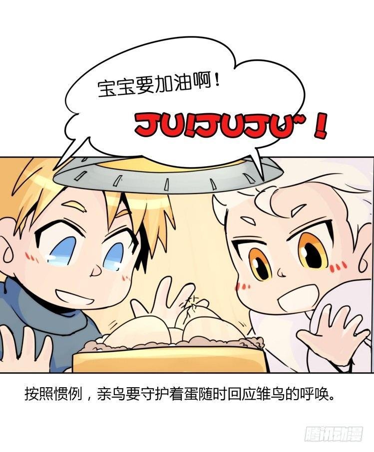 飞吧小少爷：生生不息