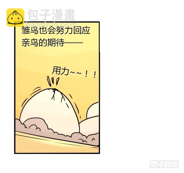飞吧小少爷：生生不息