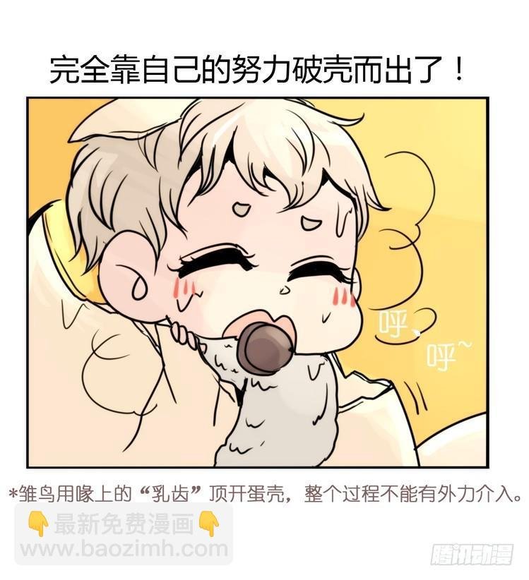 飞吧小少爷：生生不息