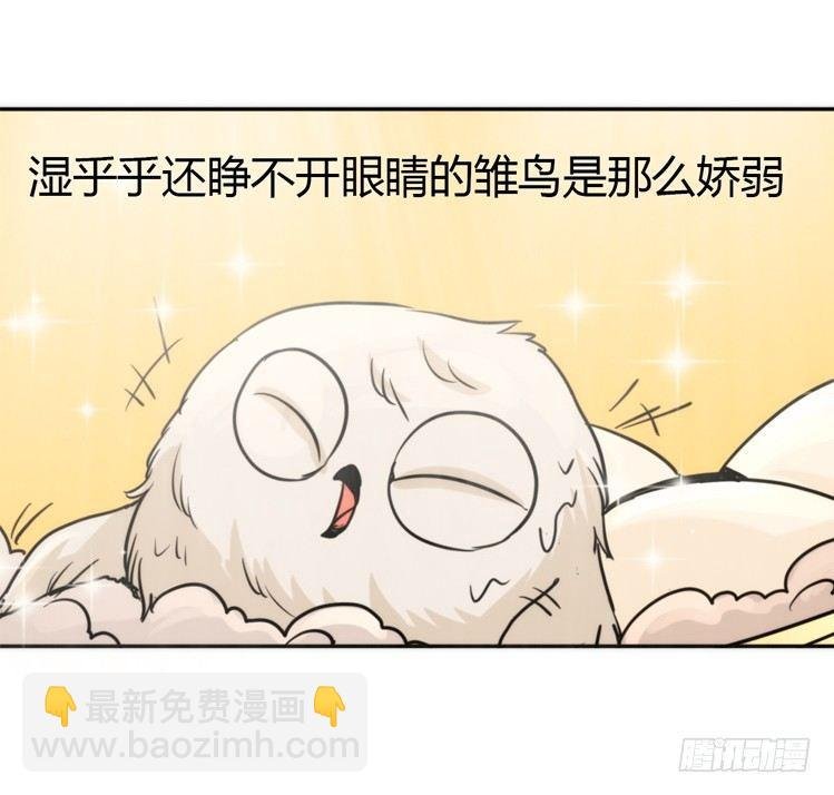 飞吧小少爷：生生不息
