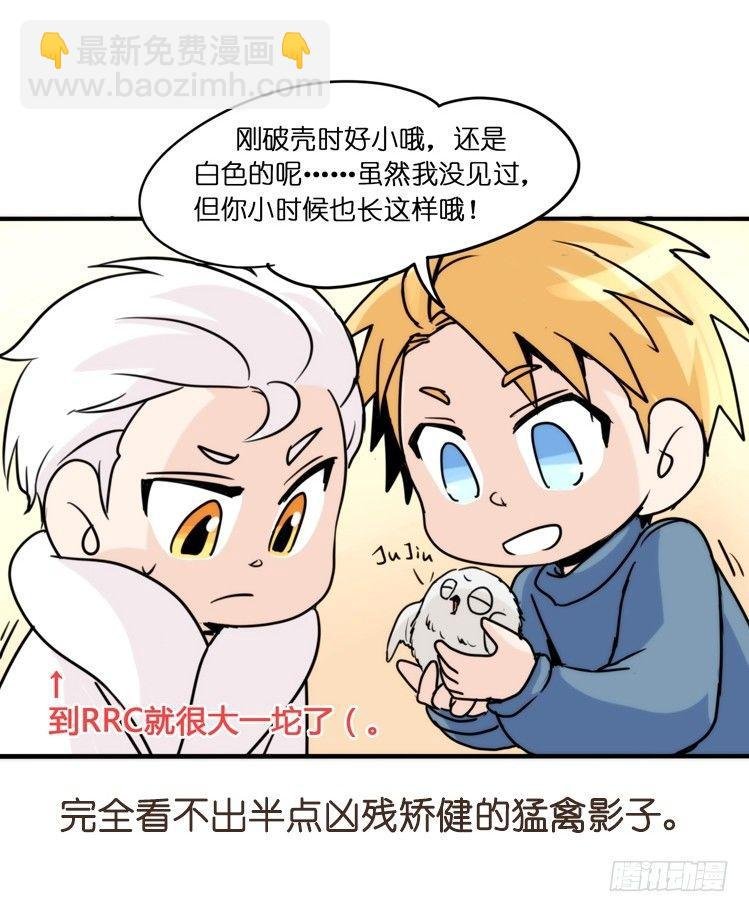 飞吧小少爷：生生不息