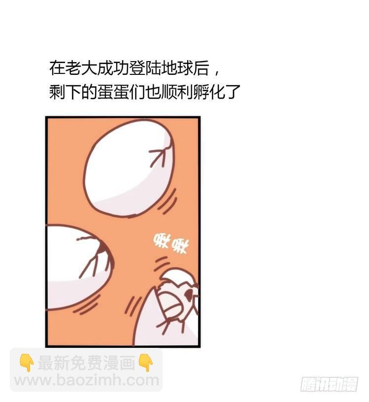 飞吧小少爷：生生不息