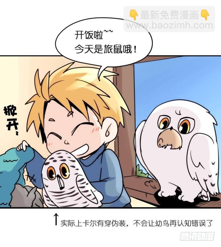 飞吧小少爷：生生不息