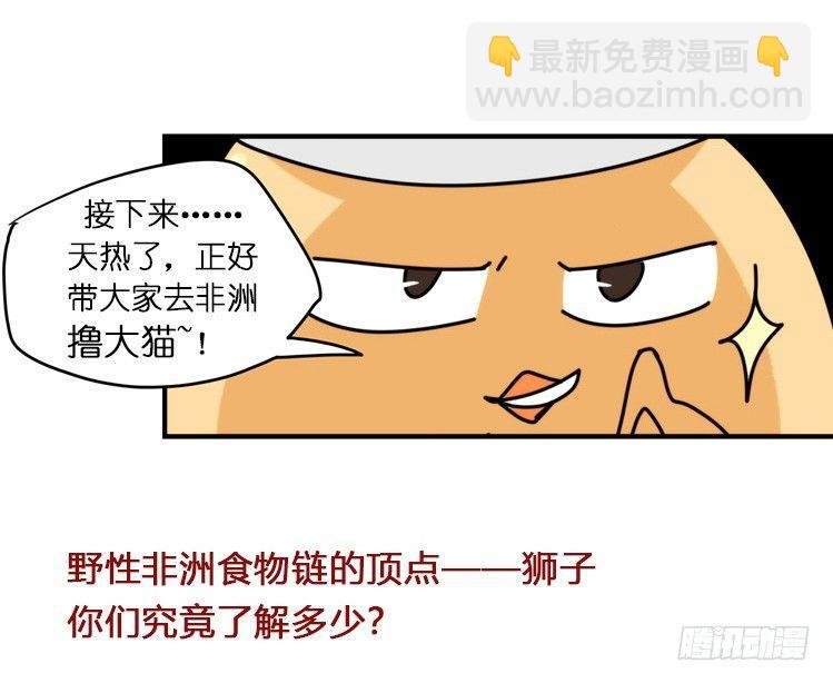 飞吧小少爷：生生不息