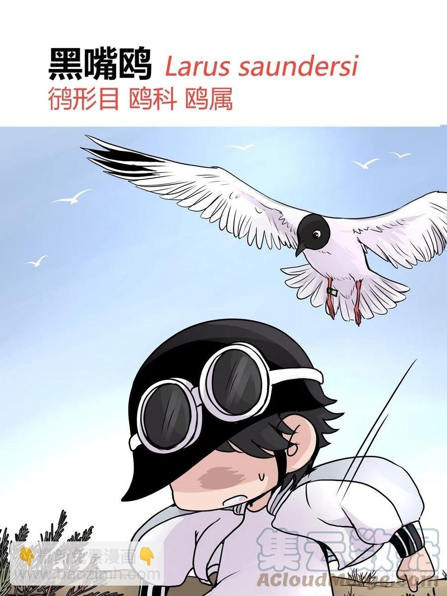 四海篇22：进狱系国宝？04