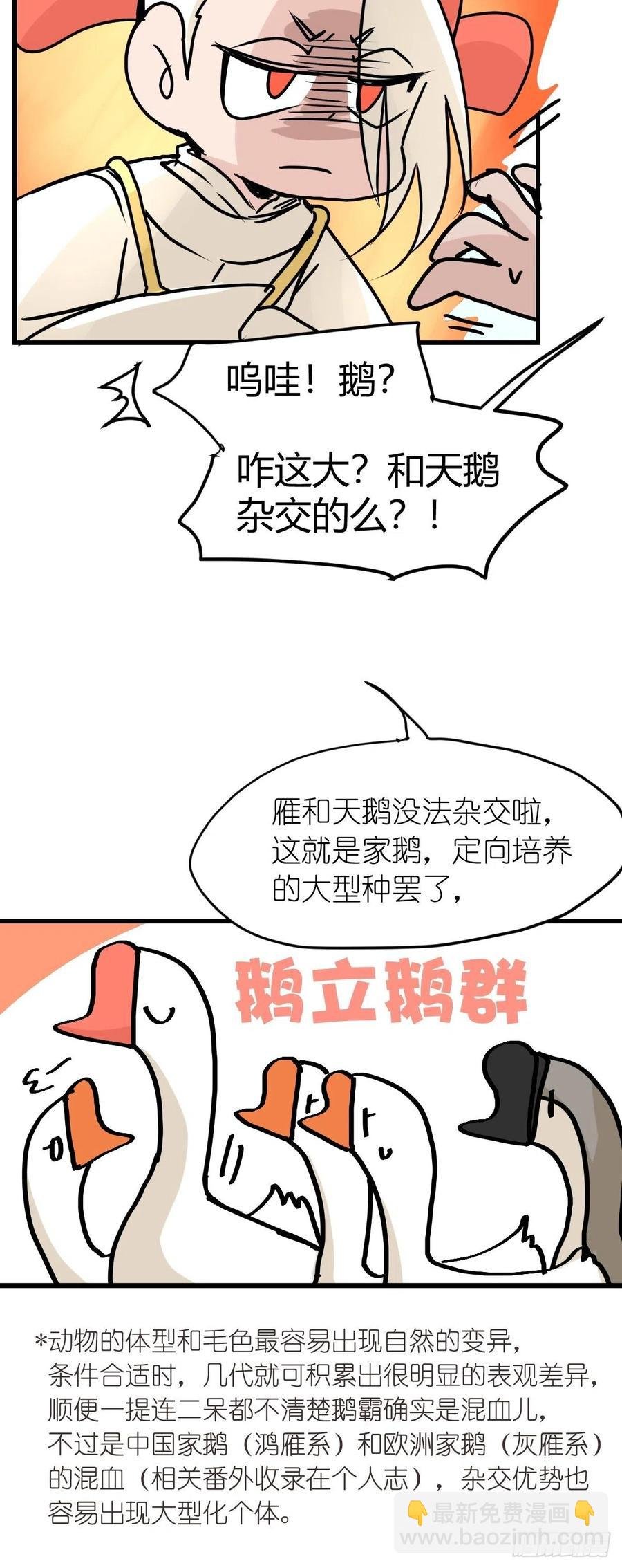 四海篇23：月夜缉凶01