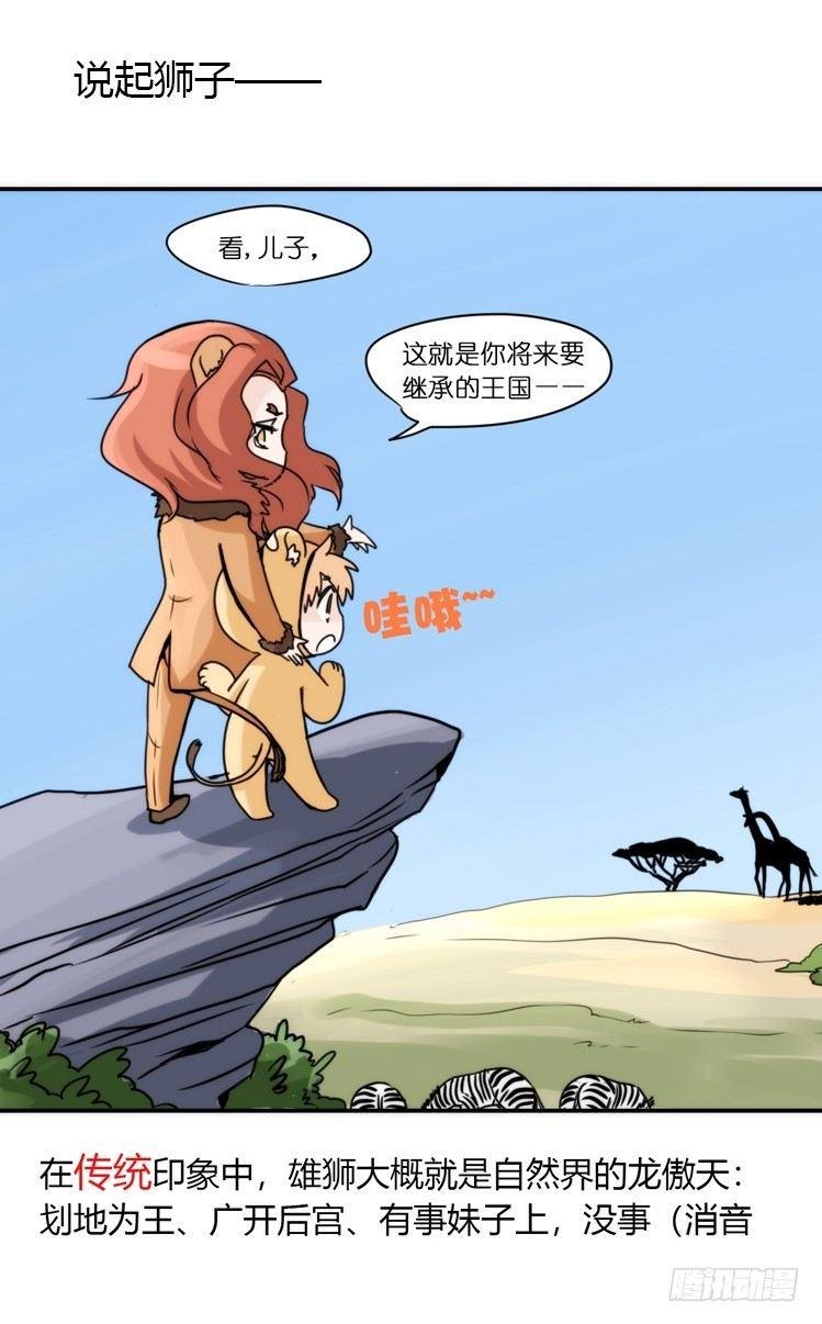 是这样的狮JI王？！-01