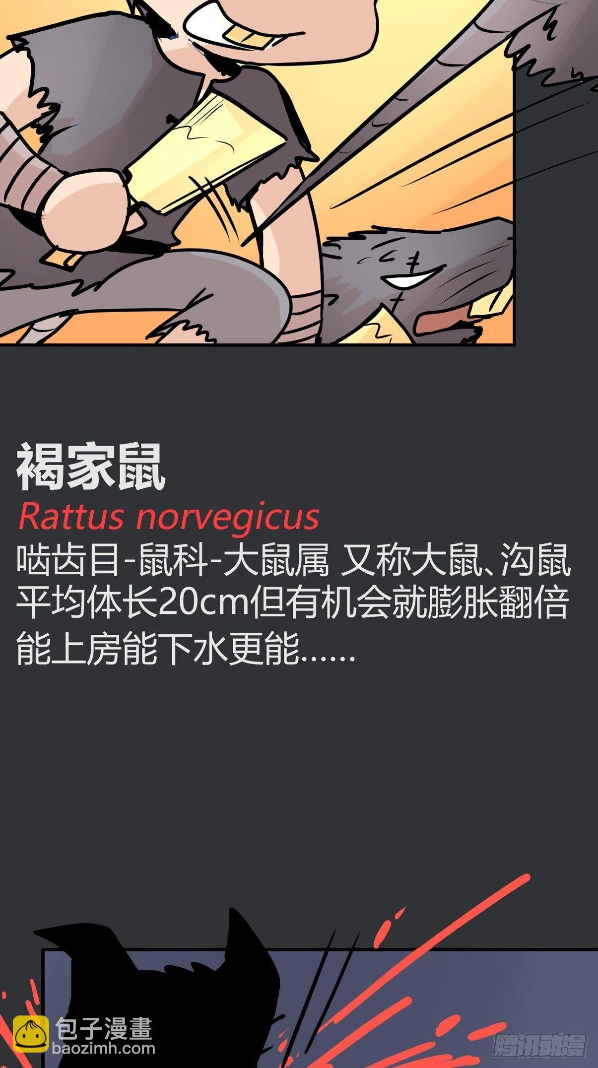 四海篇28：山中无老虎·下