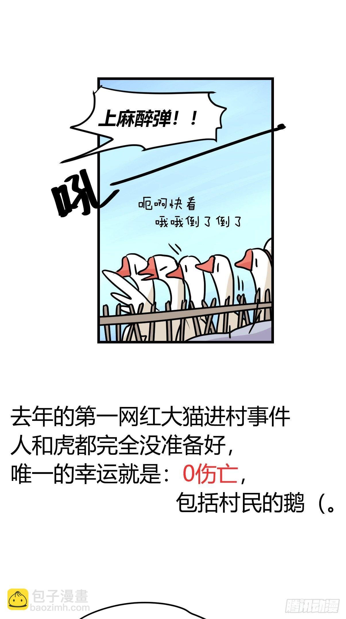 虎年特别篇：王者归来01