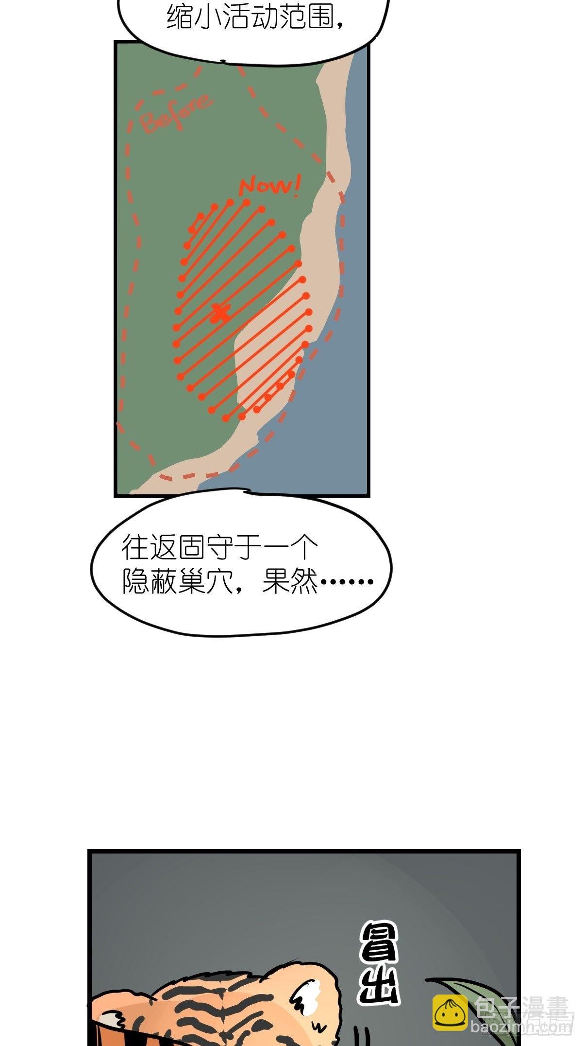 虎年特别篇：王者归来01