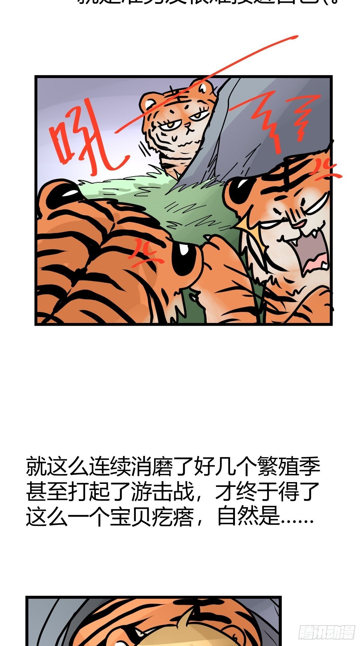虎年特别篇：王者归来01