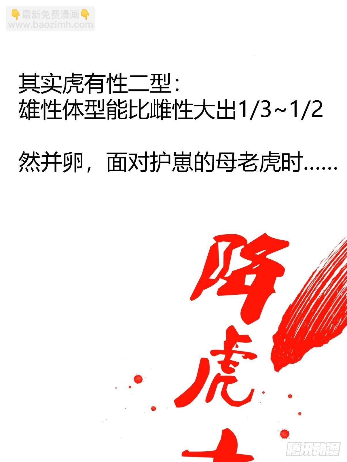 虎年特别篇：王者归来01