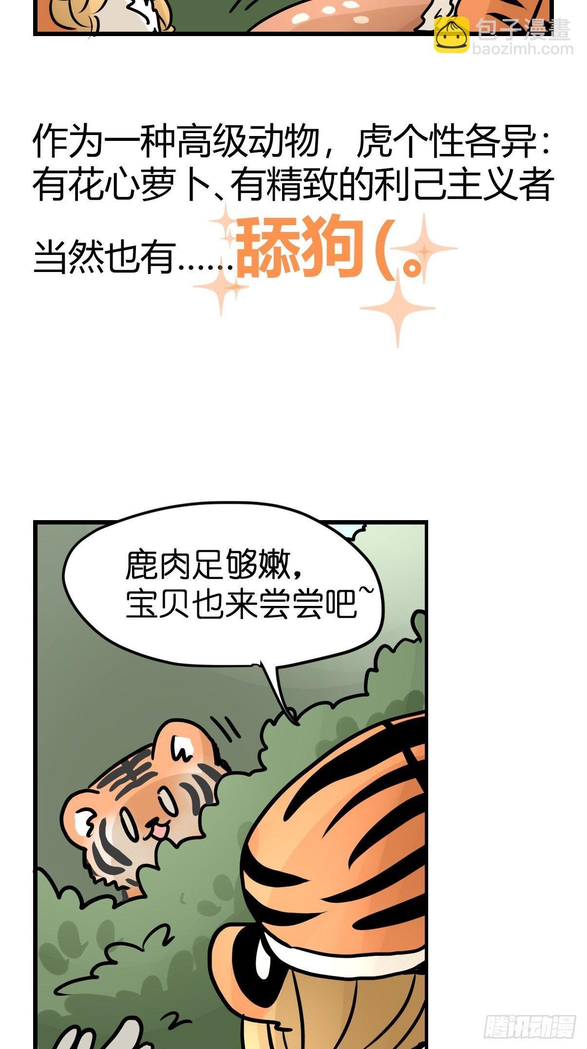 虎年特别篇：王者归来02