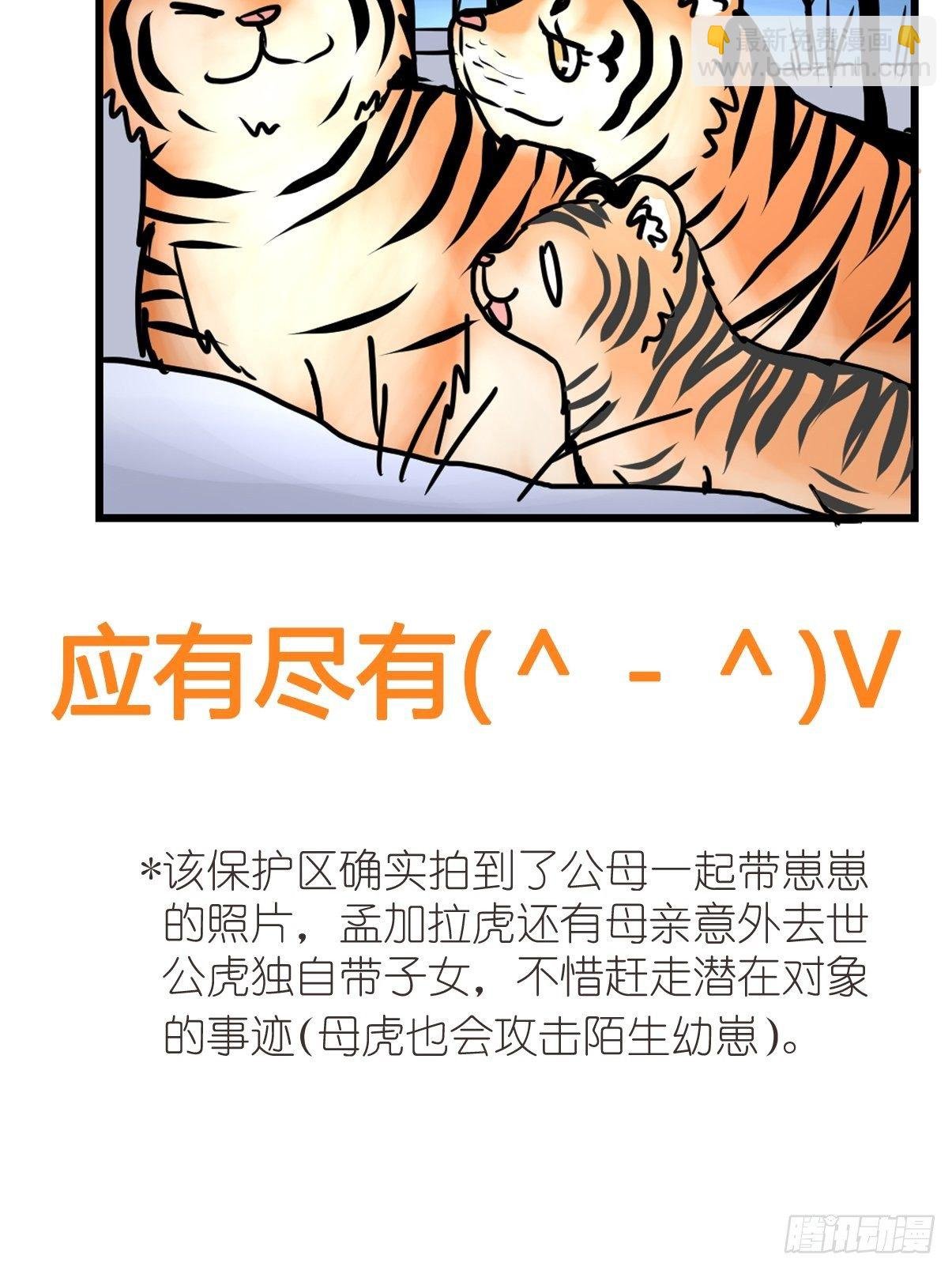 虎年特别篇：王者归来02